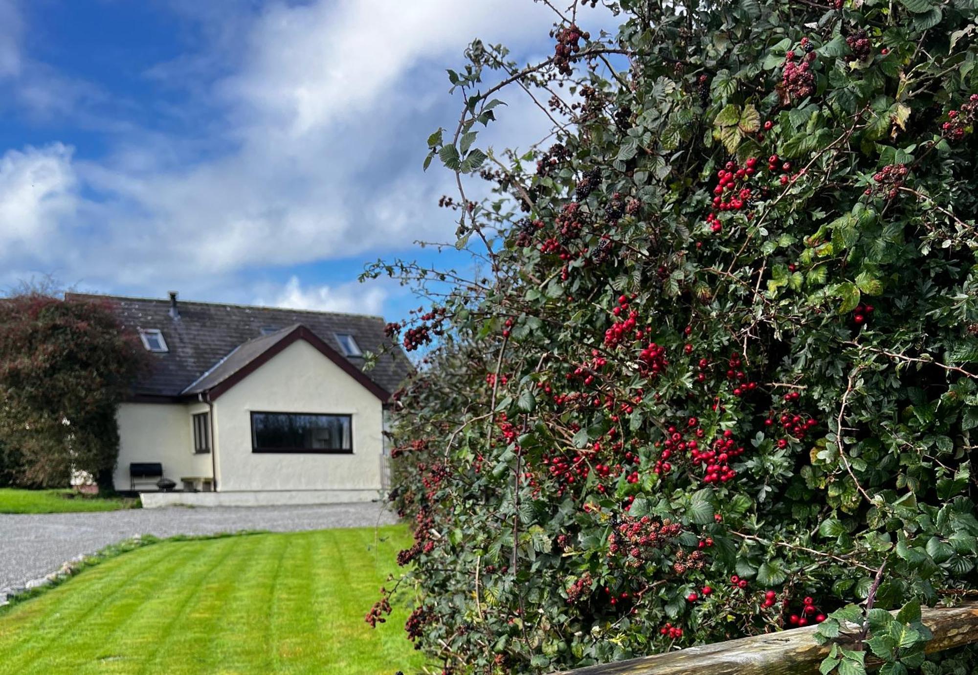 3 Bed Detached Cottage- Log Burner Mountain Views 波马利斯 外观 照片